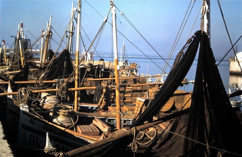 Orig slide dec 1958 lots - -,