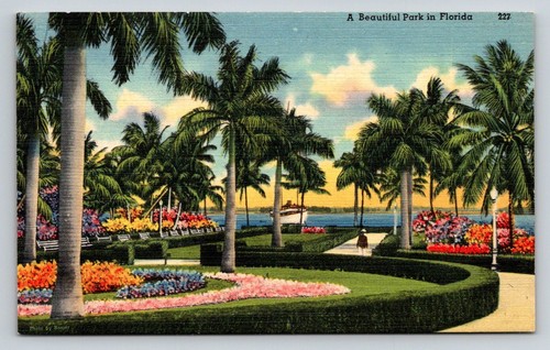 Vintage florida park postcard - vintage,
