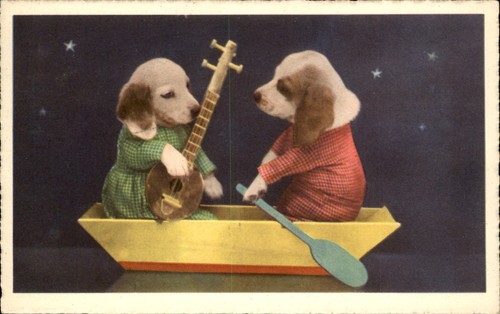 Dogs toy boat - in,