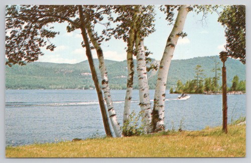 Lake dunmore vermont birch - lake,
