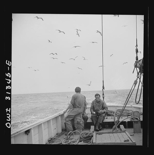 Gloucester massachusetts - gloucester,
