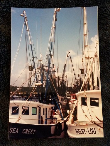 Color photograph shirmp boats - color,
