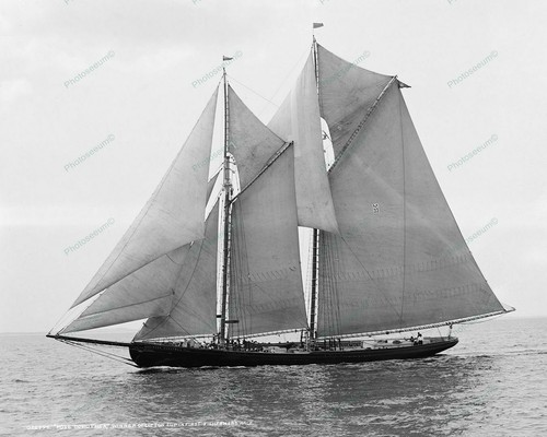 Sail boat lipton cup - boat,
